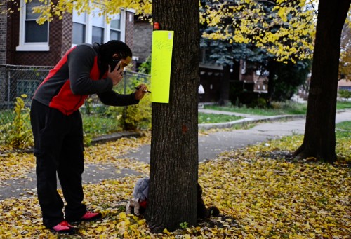 homicide73laflin-CST-110913_004