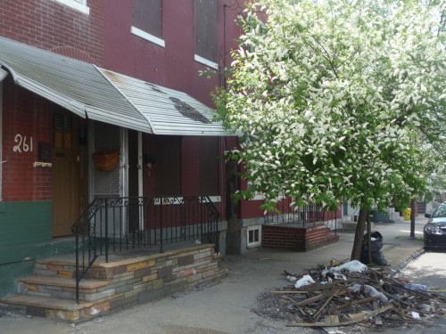 This boarded up, vacant  house was set on fire in March. The blaze injured two people, one of which died in the hospital. (Photo taken April 29, 2015 - Penny Ray/Trentonian) 