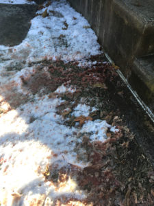 DAVID FOSTER — THE TRENTONIAN Blood stains the snow outside a Trenton home on the 100 block of Brown Street, where a 45-year-old female was murdered and a male suffered a gunshot wound on New Year’s Eve.